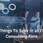 Things To Seek In an IT Consulting Firm: Find the Perfect Partner